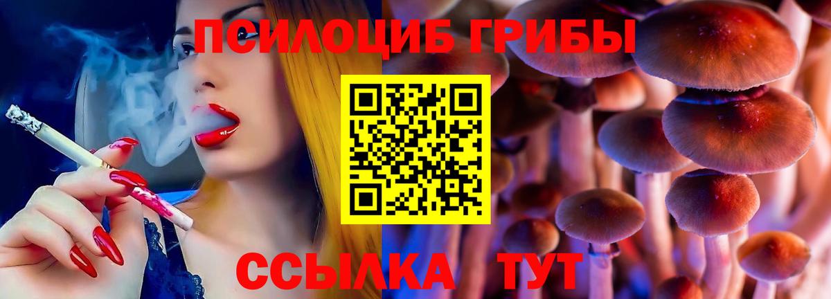 Галлюциногенные грибы мицелий Волхов