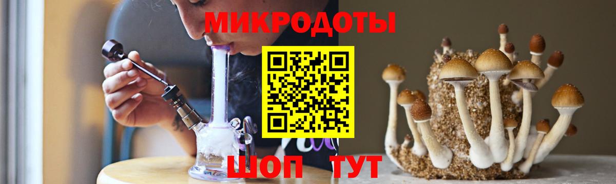как найти закладки  Галлюциногенные грибы Psilocybine cubensis  Волхов  Вход с VPN  Галлюциногенные грибы Psilocybine cubensis 